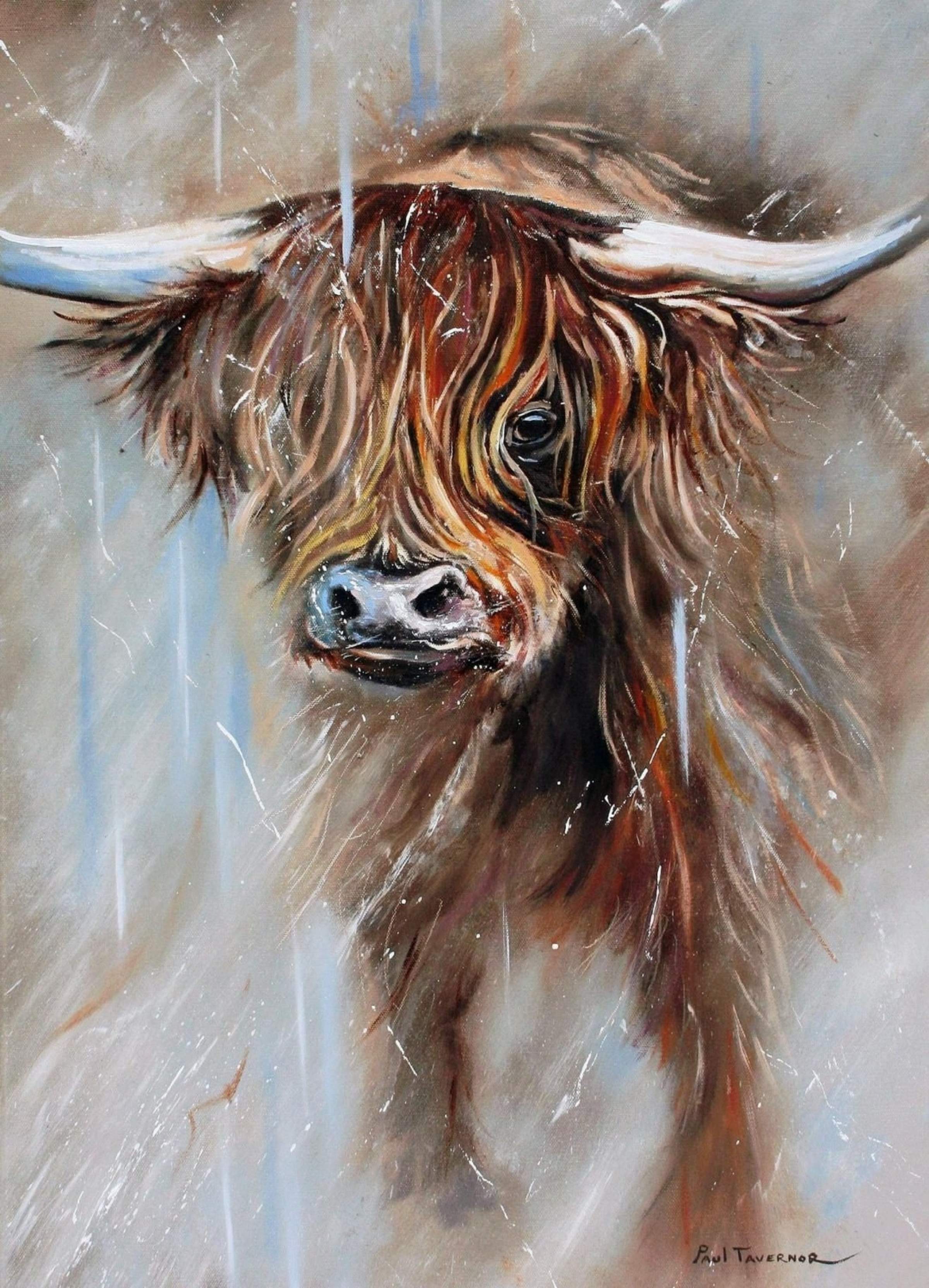 Highland Spirit