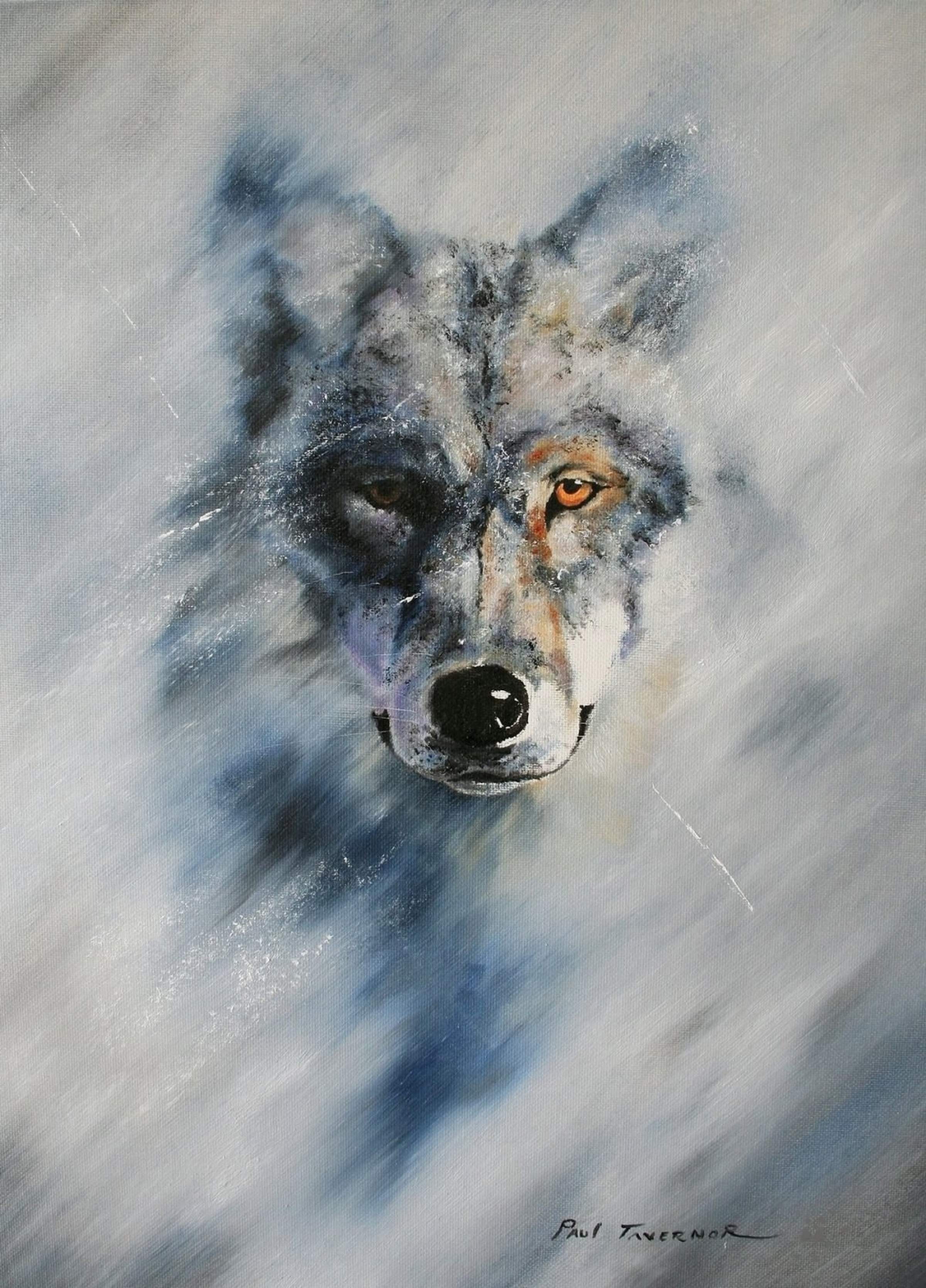 Northern Shadows